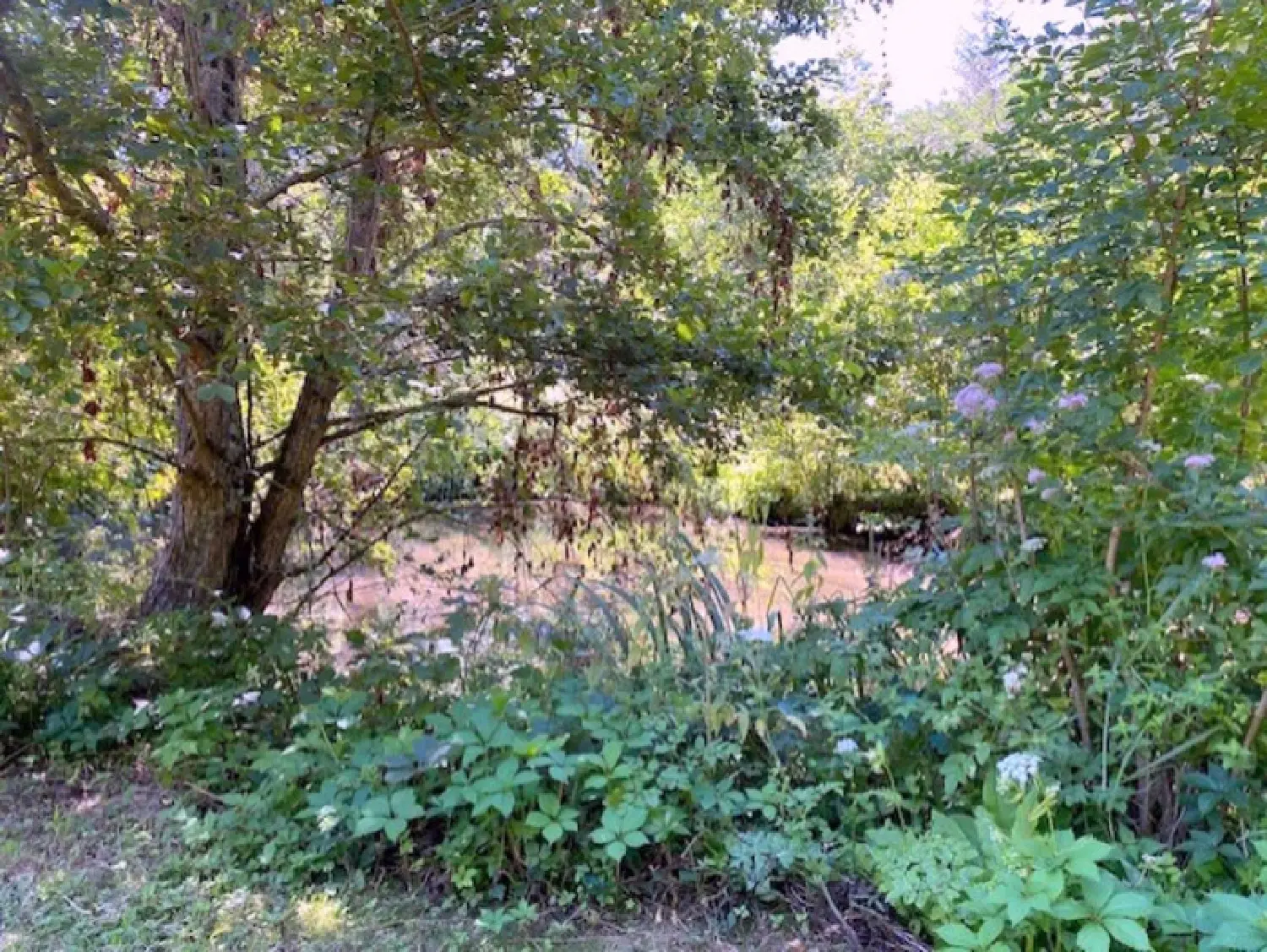  te koop boerderij Thorigny-sur-Oreuse Yonne 4