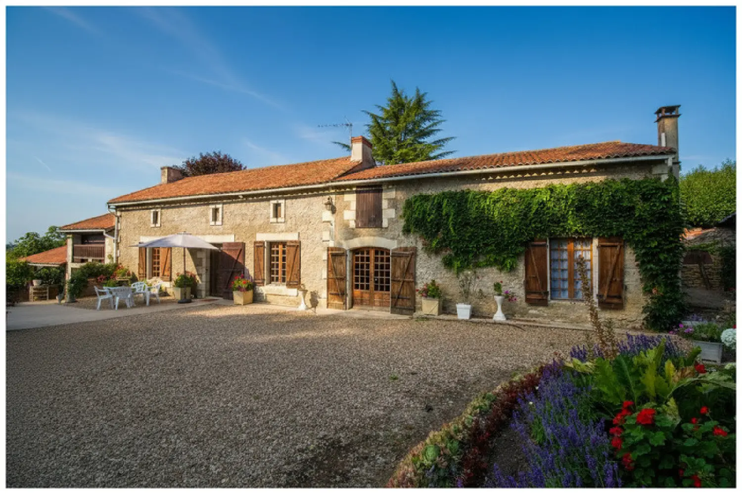  for sale farm Thurageau Vienne 1