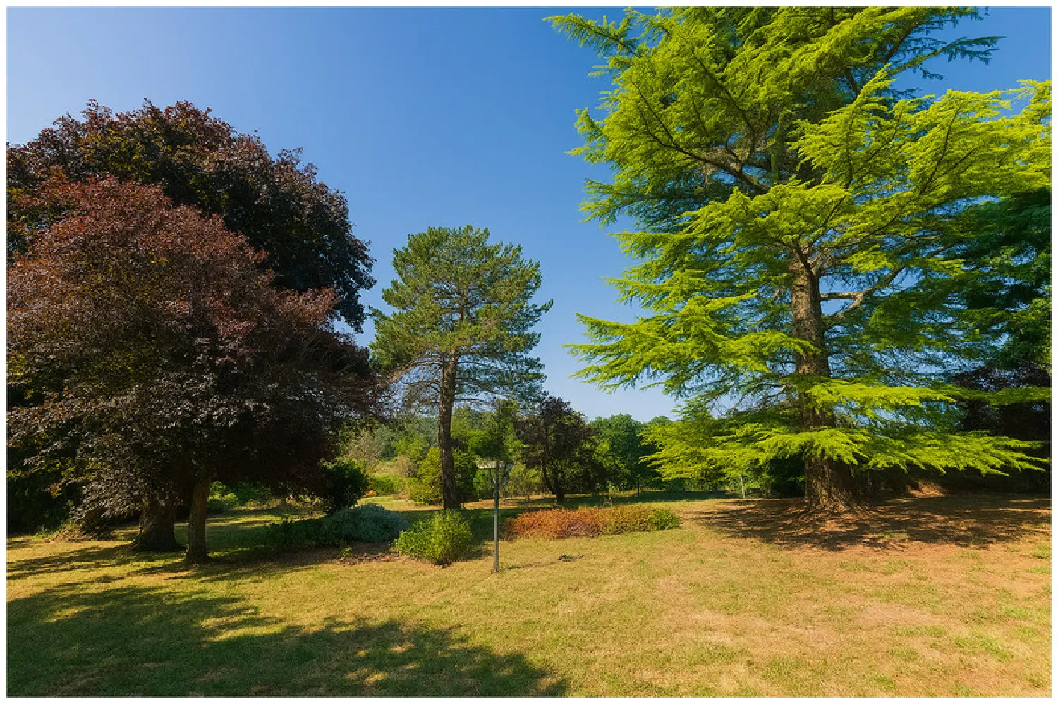  for sale farm Thurageau Vienne 4