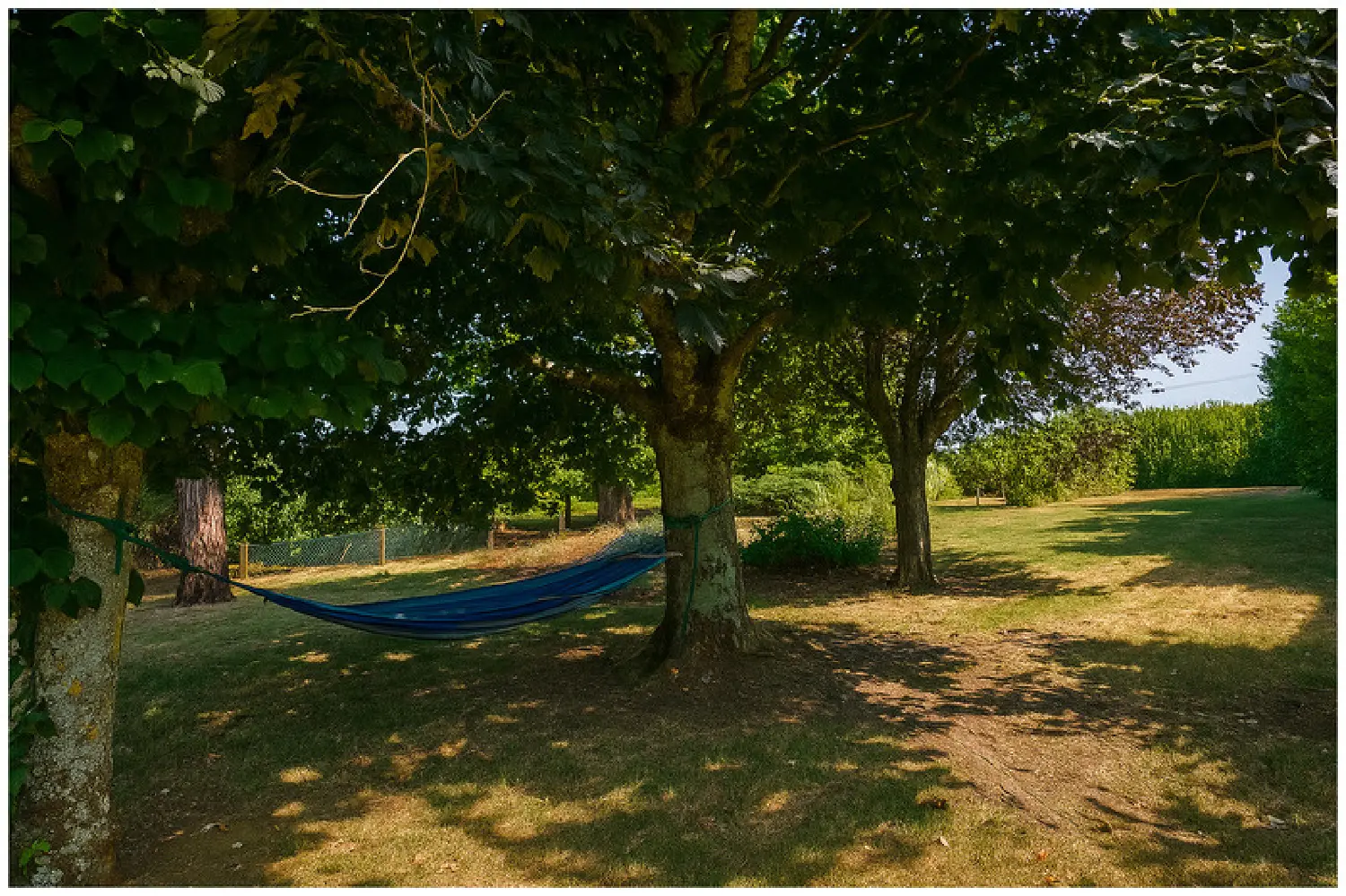  for sale farm Thurageau Vienne 5