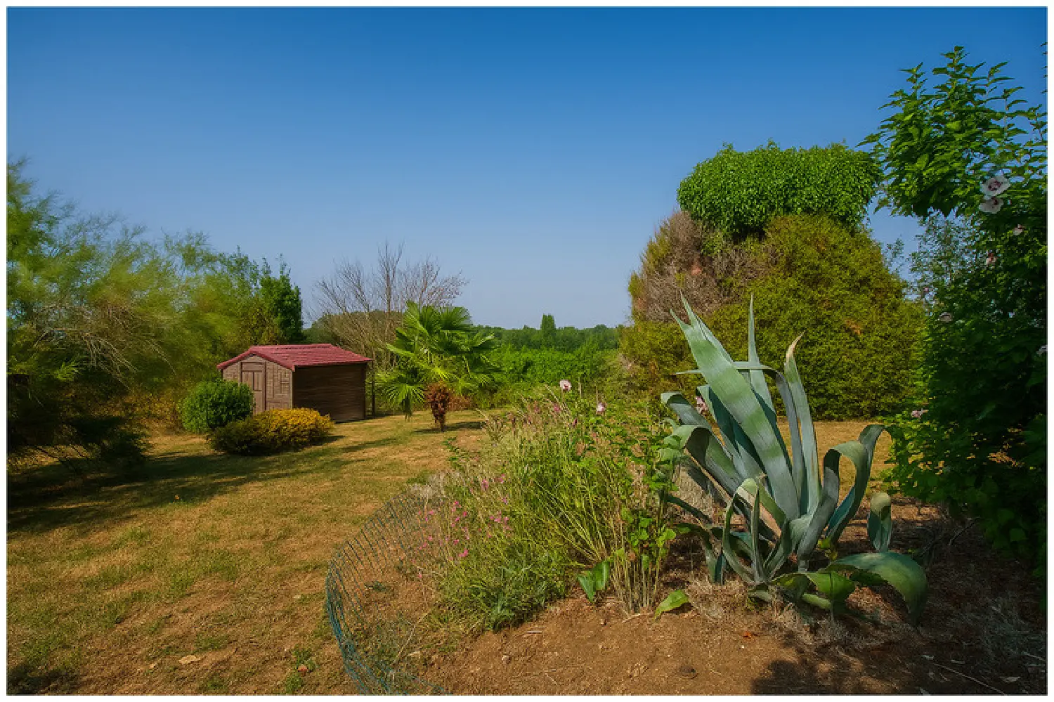  for sale farm Thurageau Vienne 6
