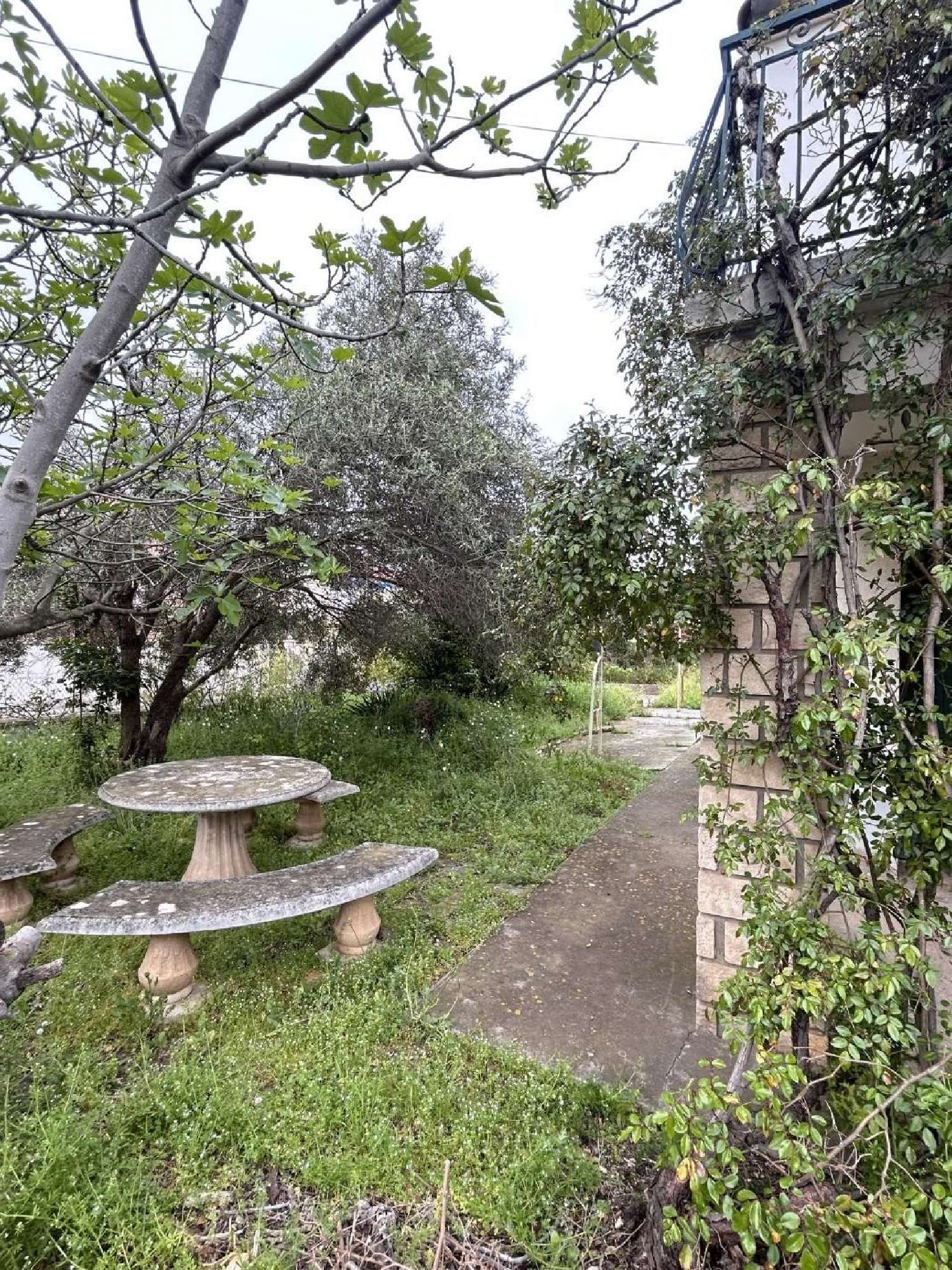  te koop huis Agde Hérault 1