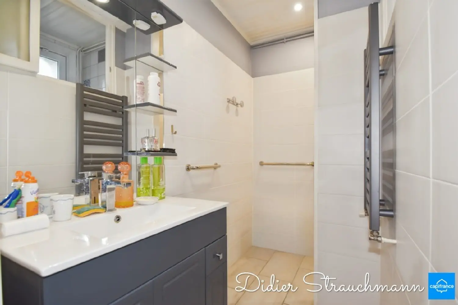  te koop huis Aigrefeuille-d'Aunis Charente-Maritime 8