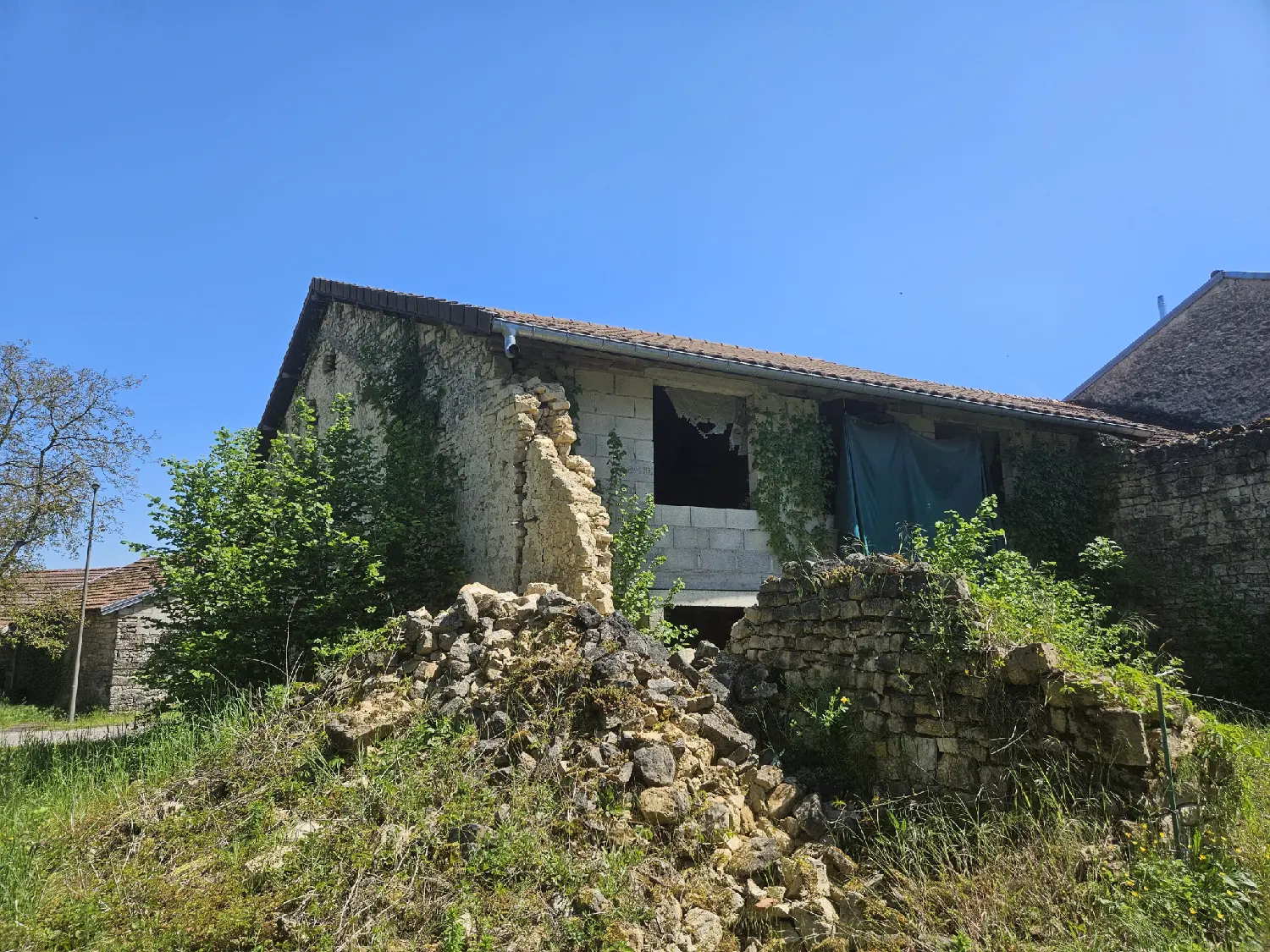  for sale house Aigremont Haute-Marne 3