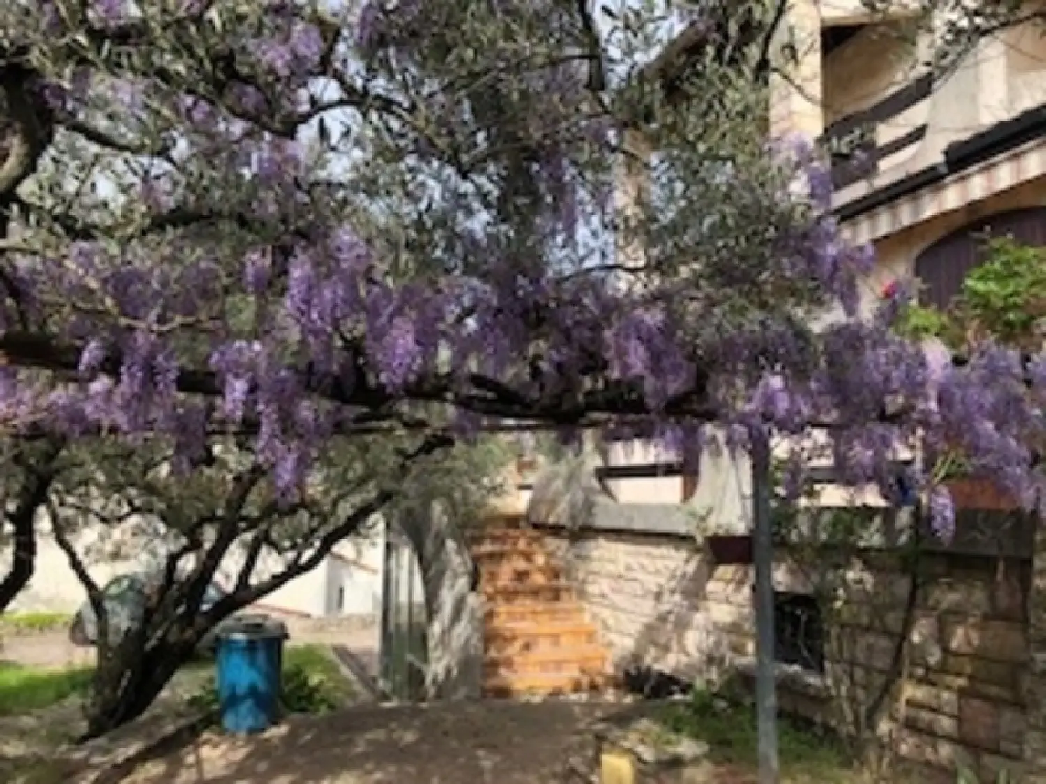  te koop huis Alès Gard 5