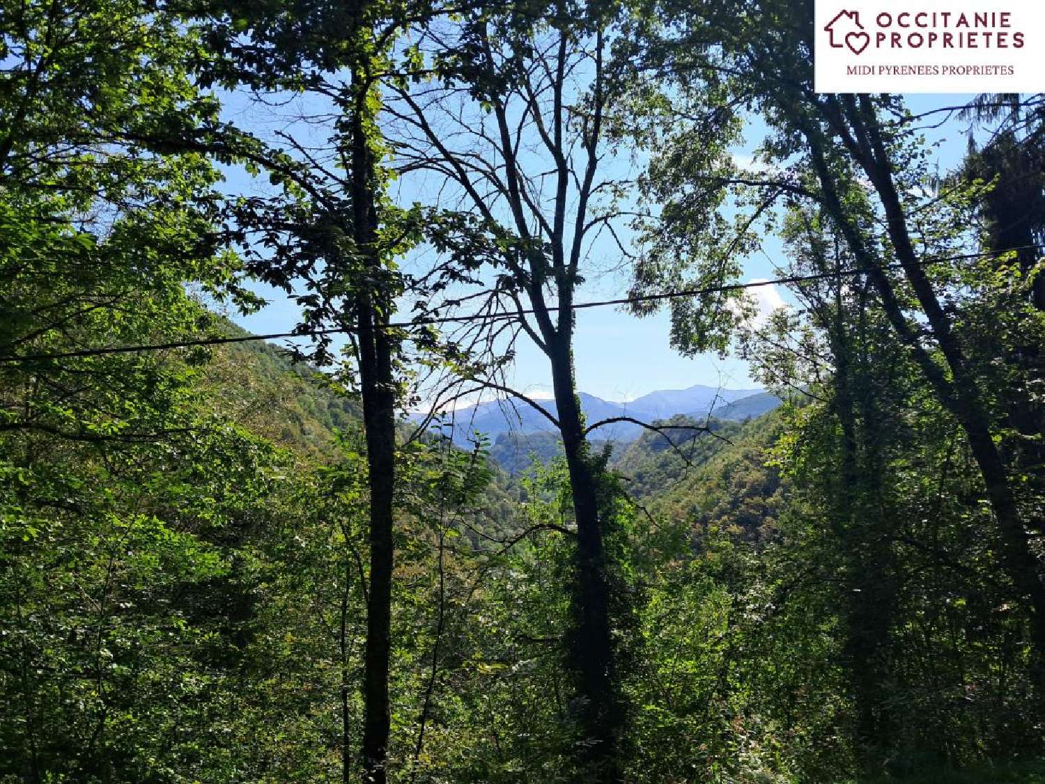  for sale house Aleu Ariège 7