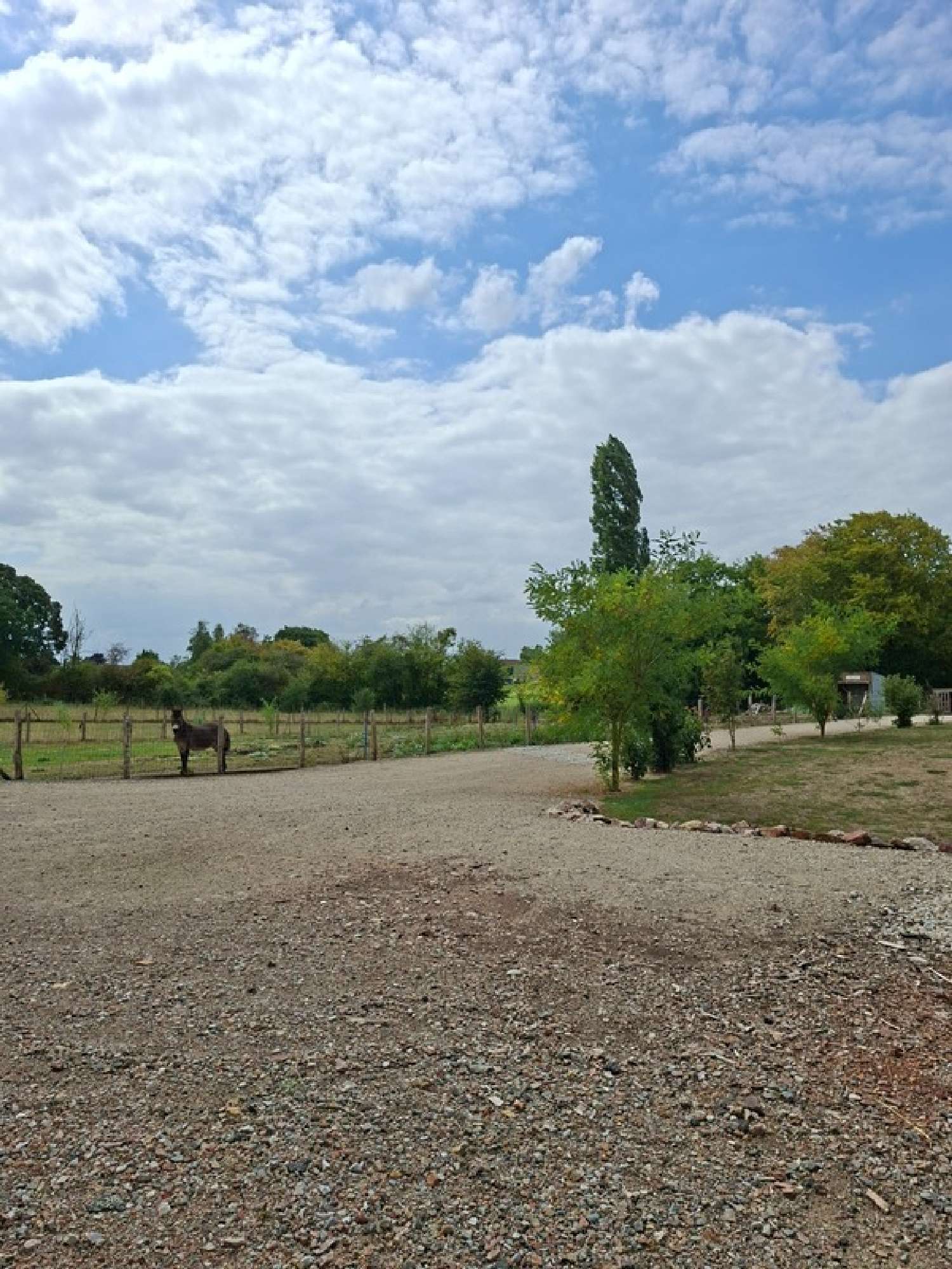  te koop huis Ancinnes Sarthe 3