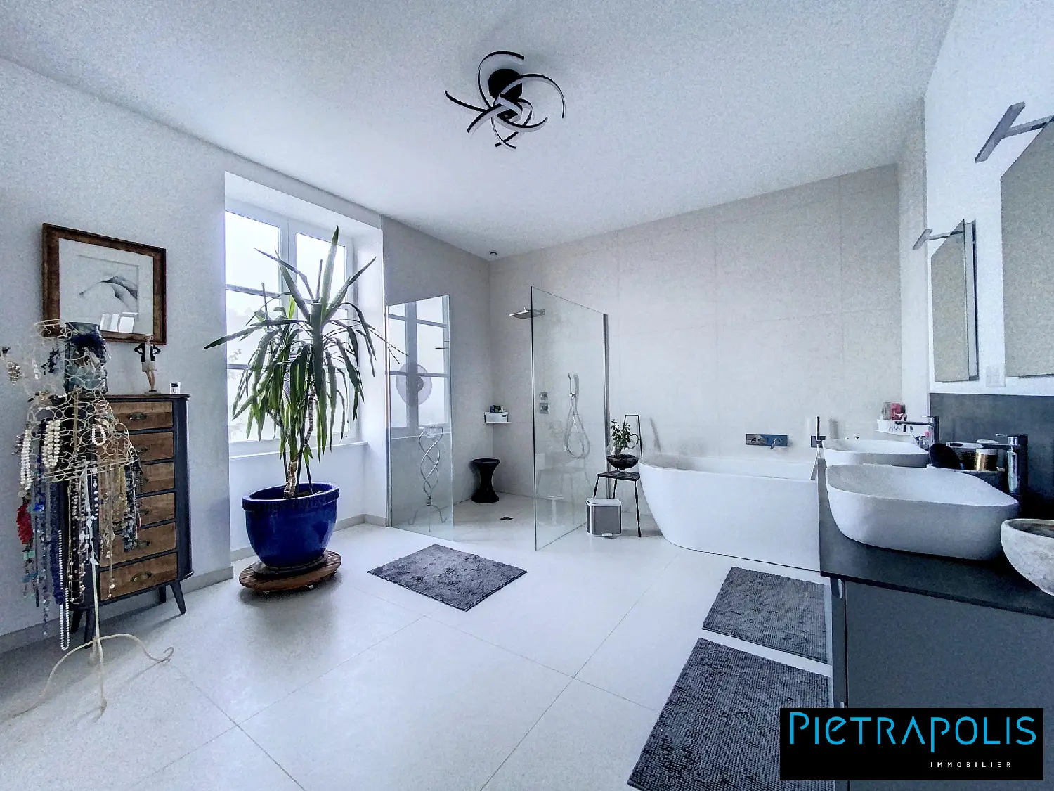  te koop huis Arbuissonnas Rhône 7