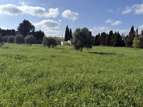 Argeliers Aude house foto 7138959