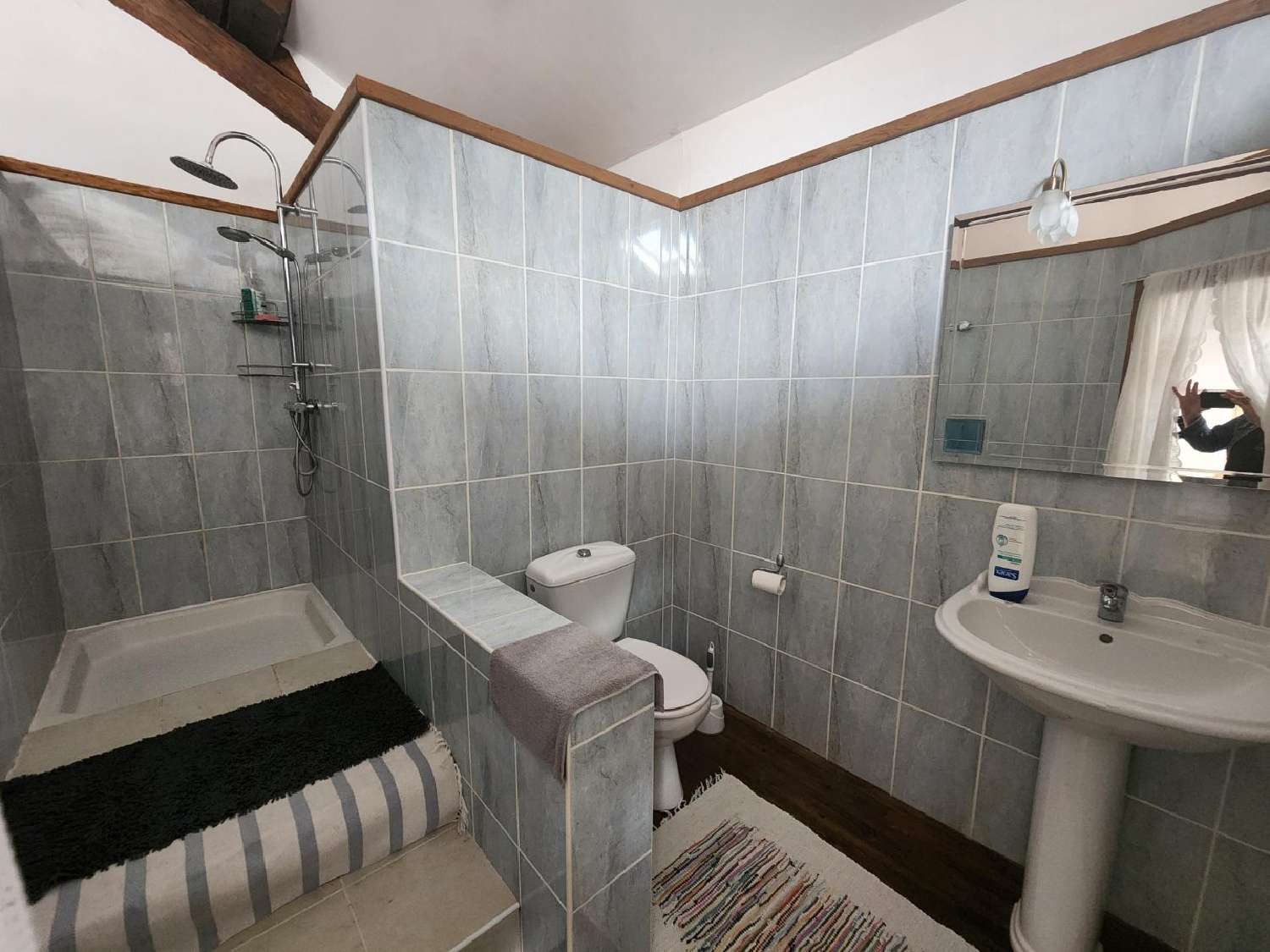  te koop huis Asnières-sur-Blour Vienne 8