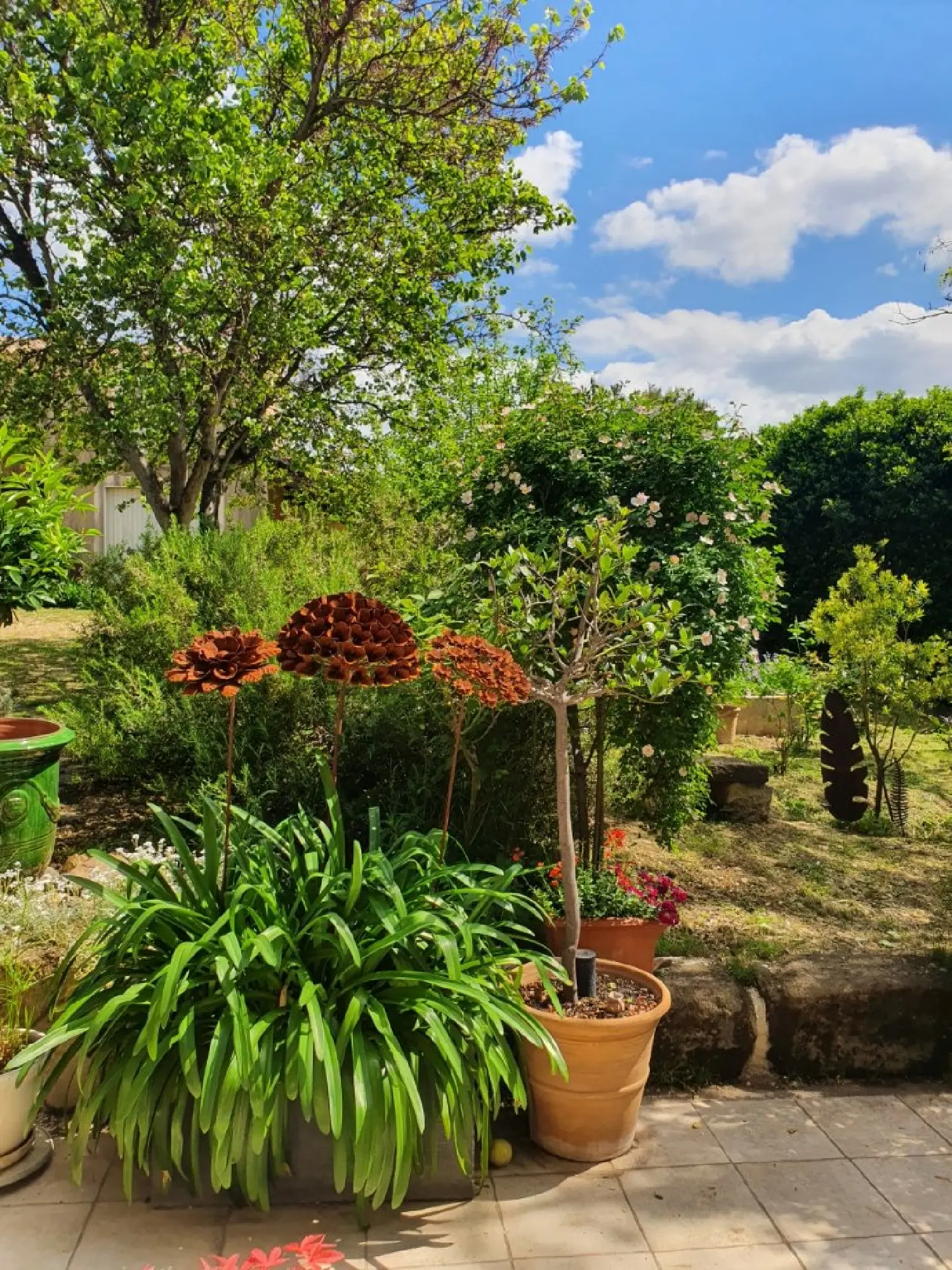  à vendre maison Aspiran Hérault 8