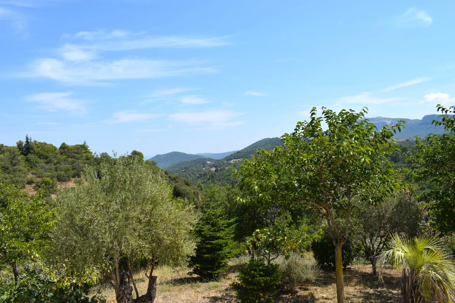  te koop huis Auriol Bouches-du-Rhône 8