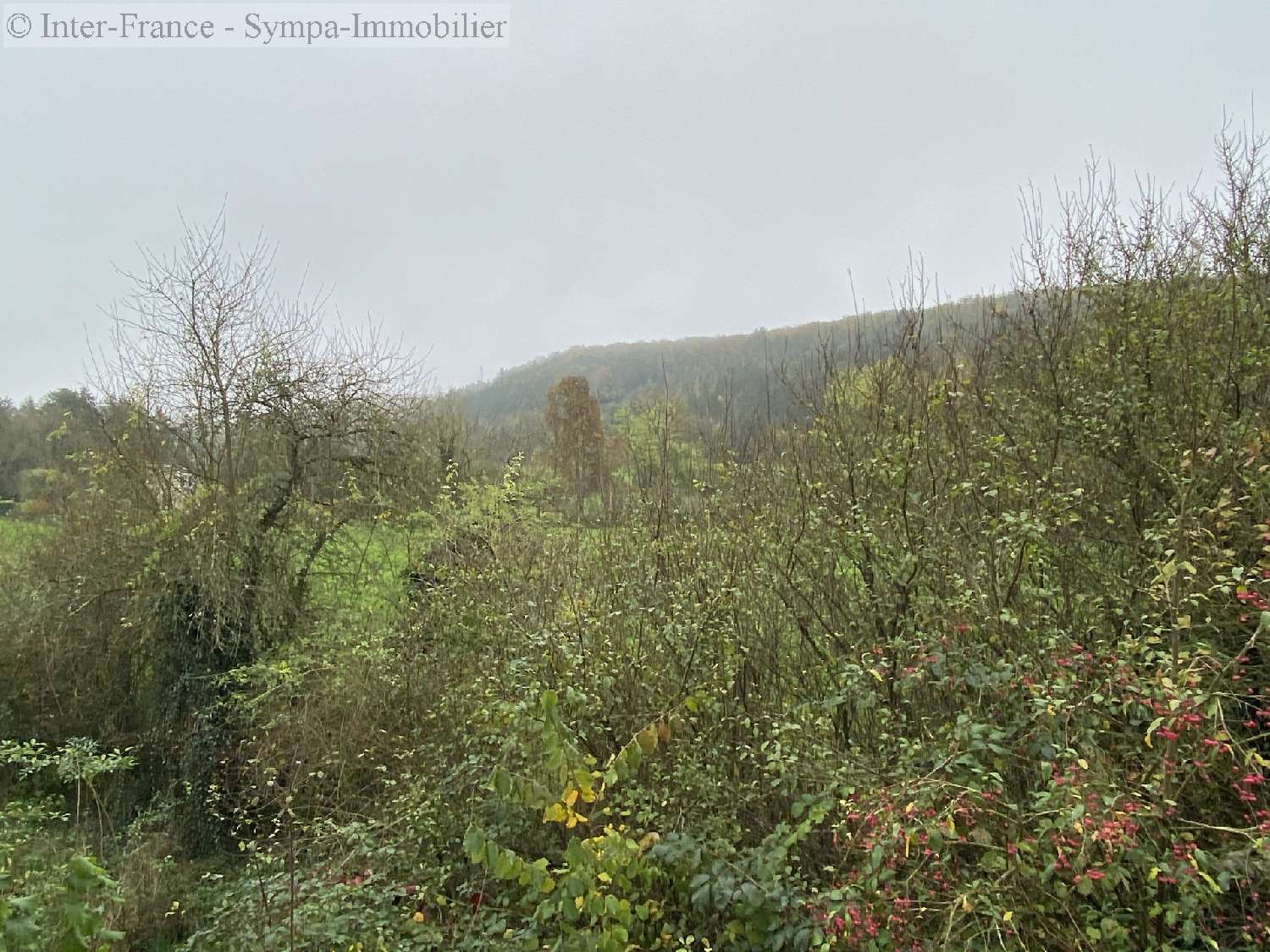  te koop huis Autigny-le-Grand Haute-Marne 10