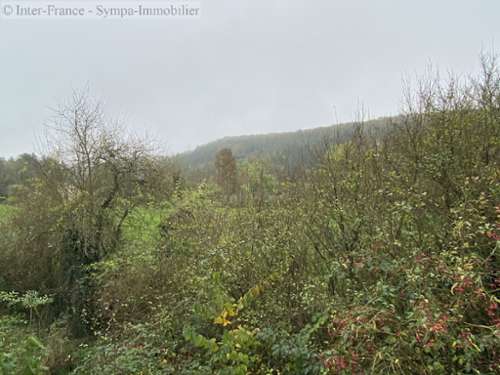  te koop huis Donjeux Haute-Marne 10