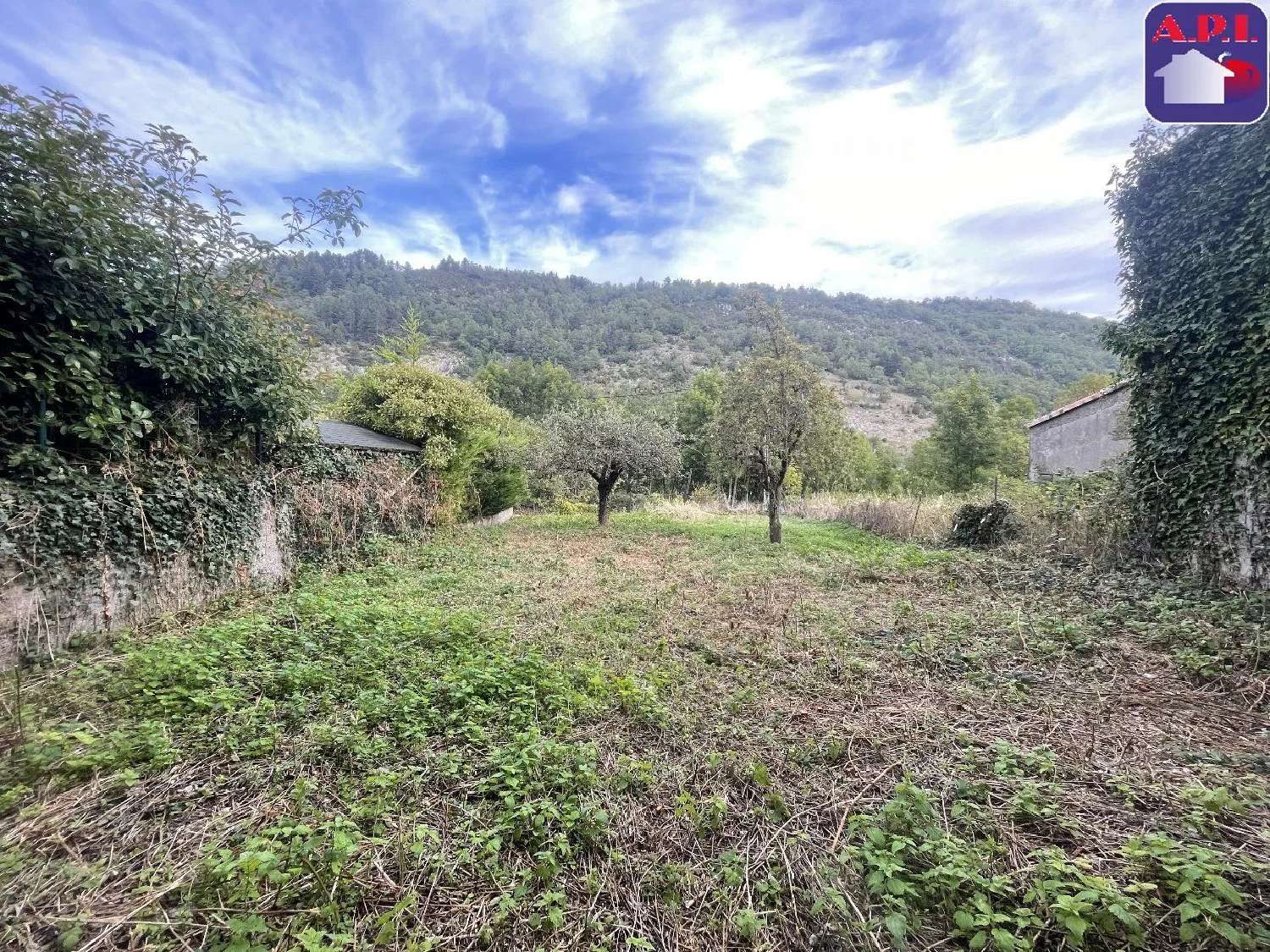  en venta casa Belcaire Aude 1