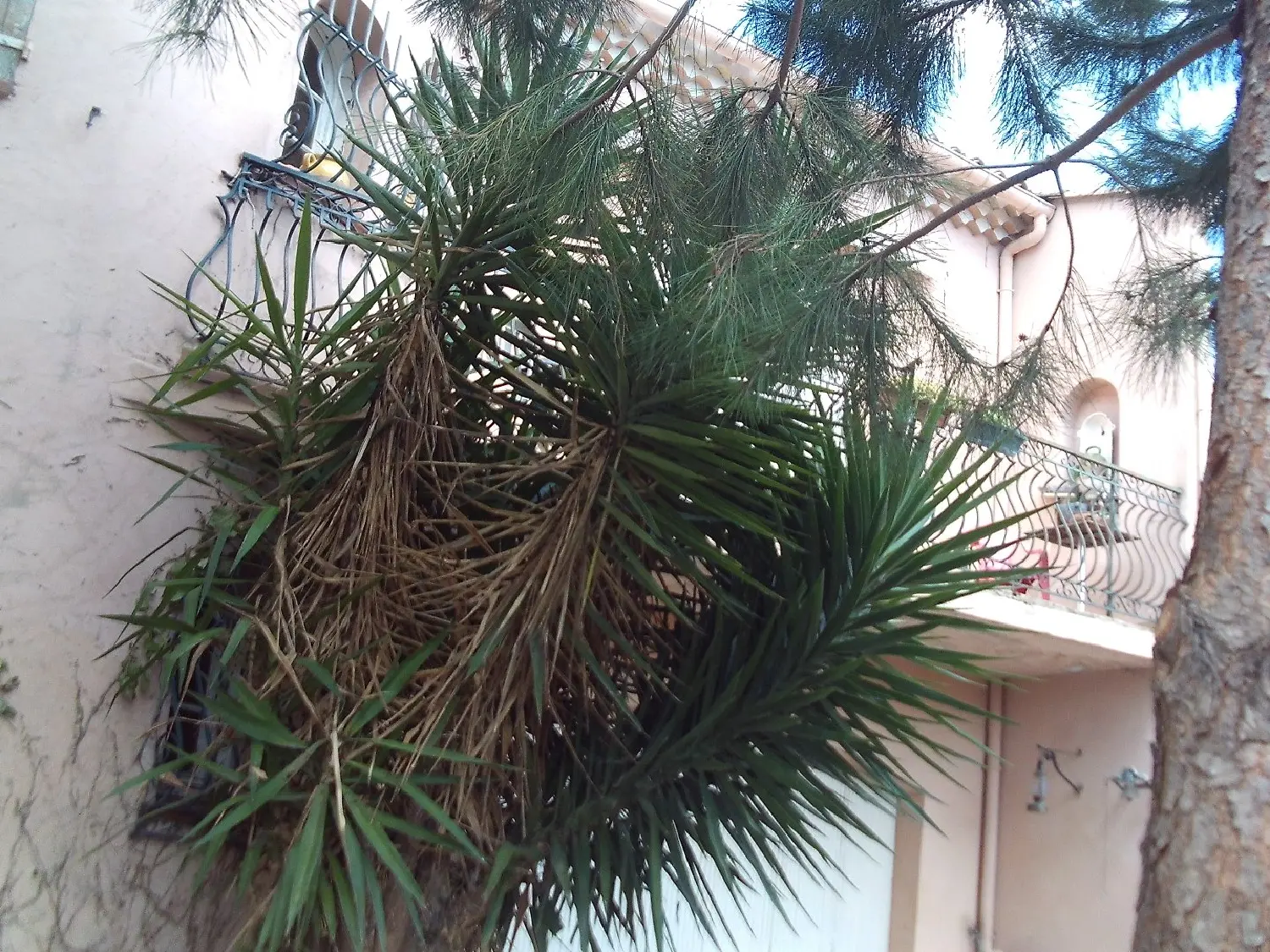  te koop huis Béziers Hérault 1