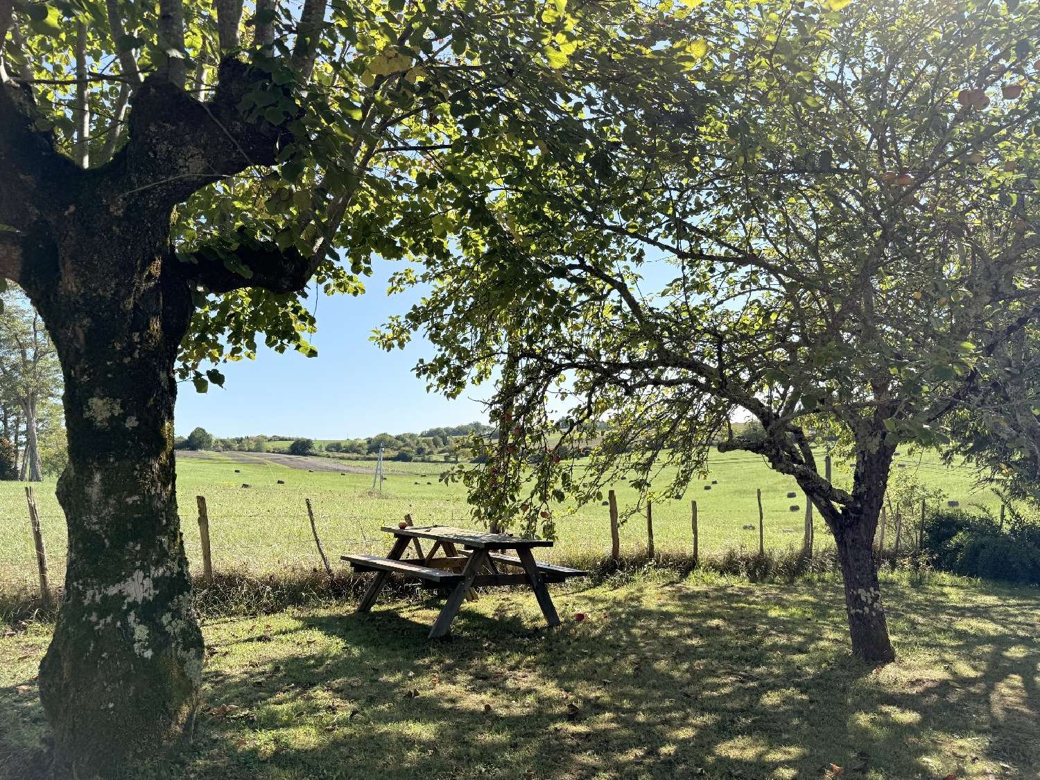  te koop huis Bourdeilles Dordogne 4