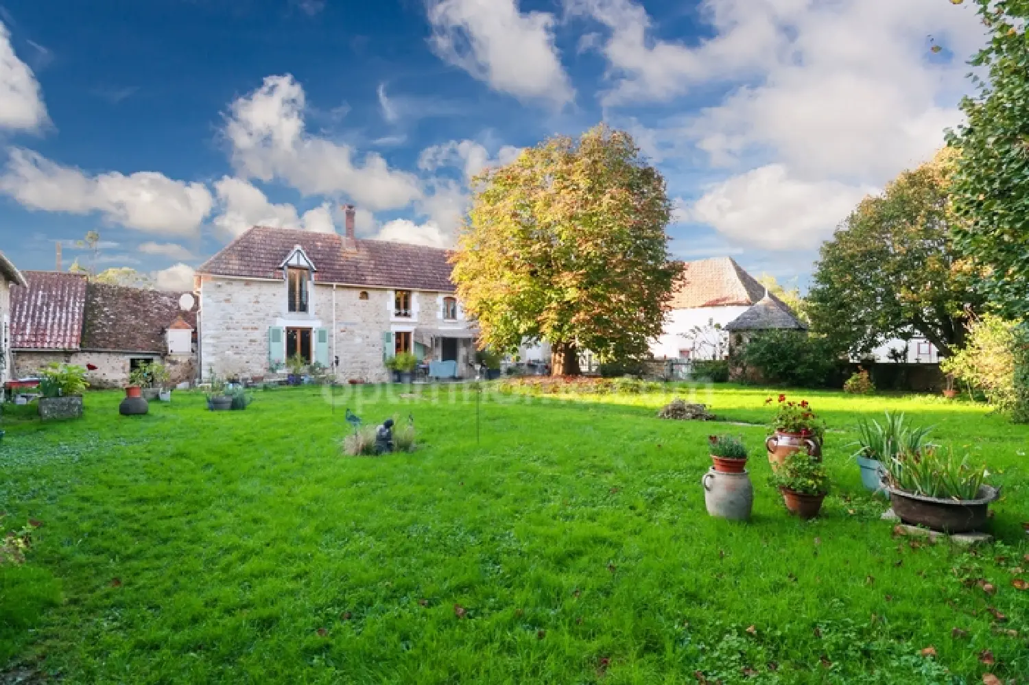  for sale house Journet Vienne 3