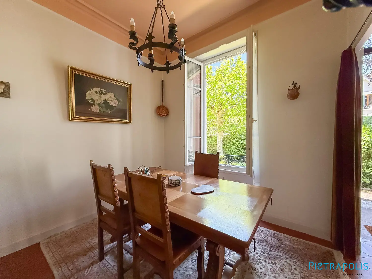  te koop huis Bron Rhône 8