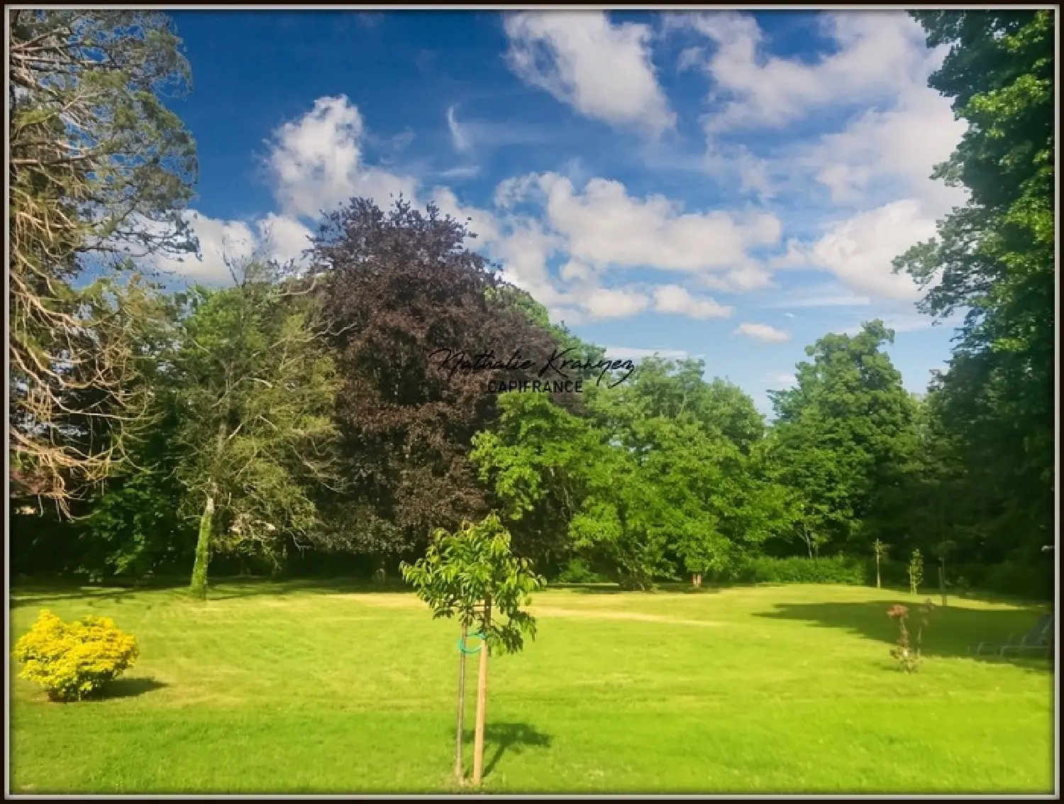  te koop huis Buzancy Ardennes 3