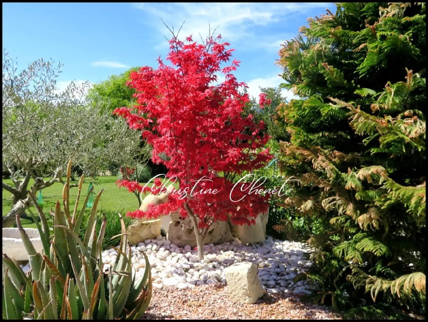  à vendre maison Calvisson Gard 2
