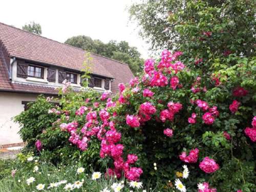 Canlers Pas-de-Calais huis foto 7137684