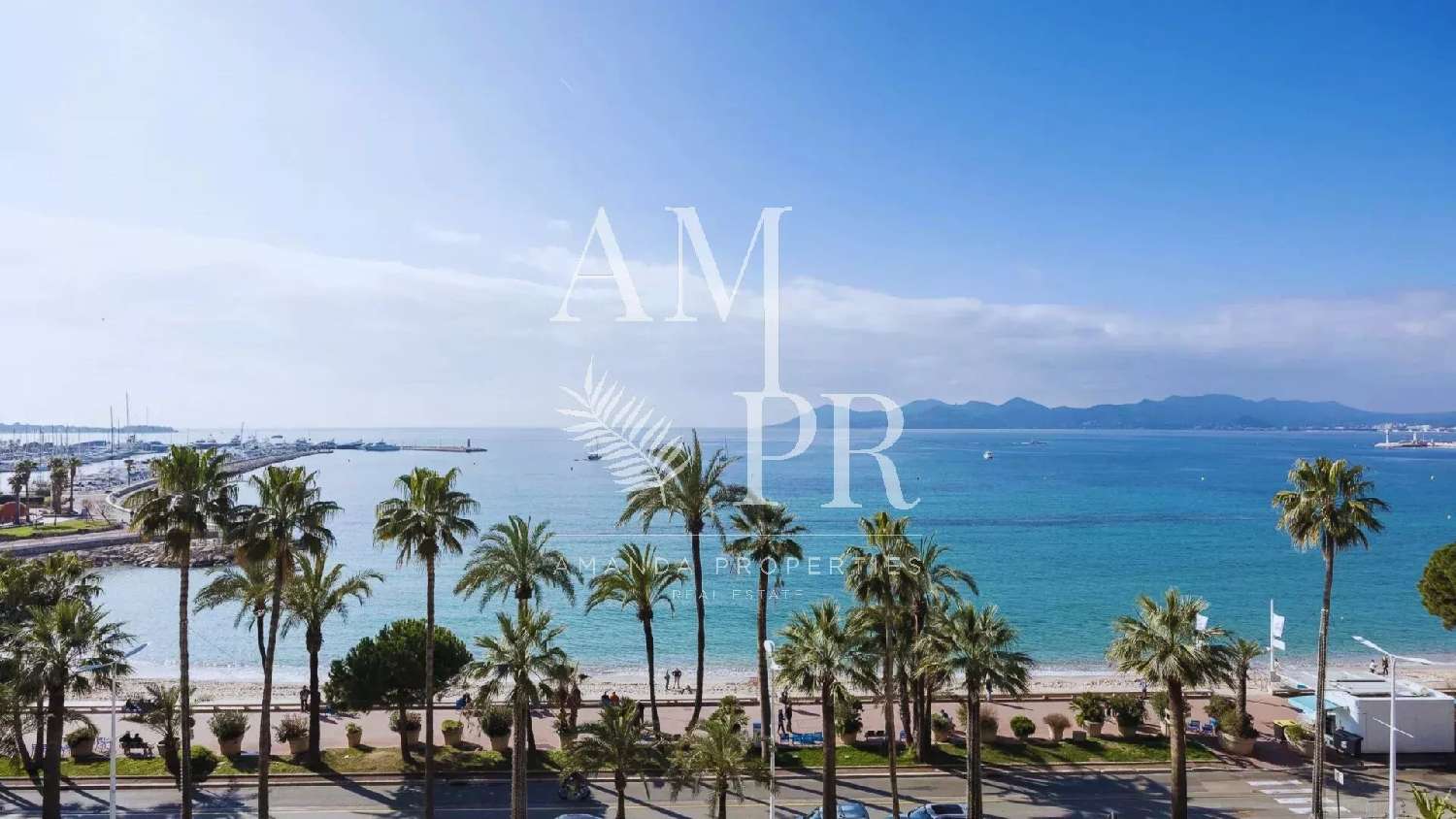  for sale house Cannes Alpes-Maritimes 2