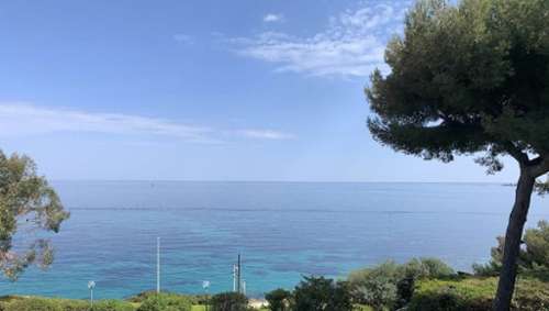 Cannes Alpes-Maritimes casa foto 7144102