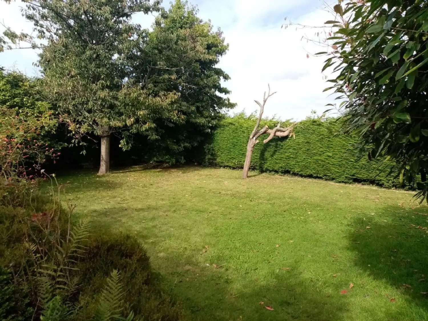  te koop huis Cany-Barville Seine-Maritime 2