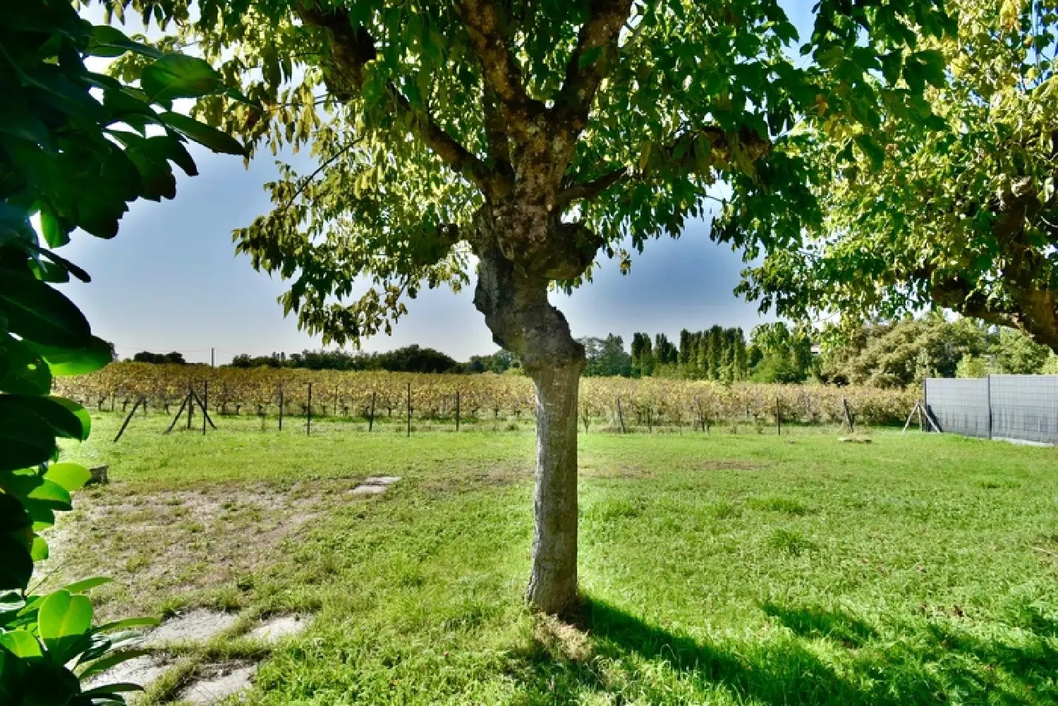  te koop huis Carignan-de-Bordeaux Gironde 2