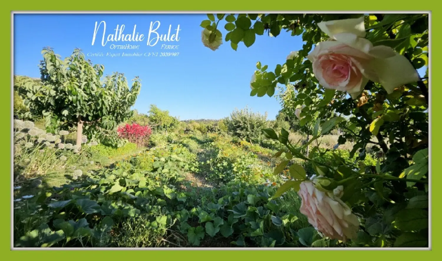  à vendre maison Cébazan Hérault 2