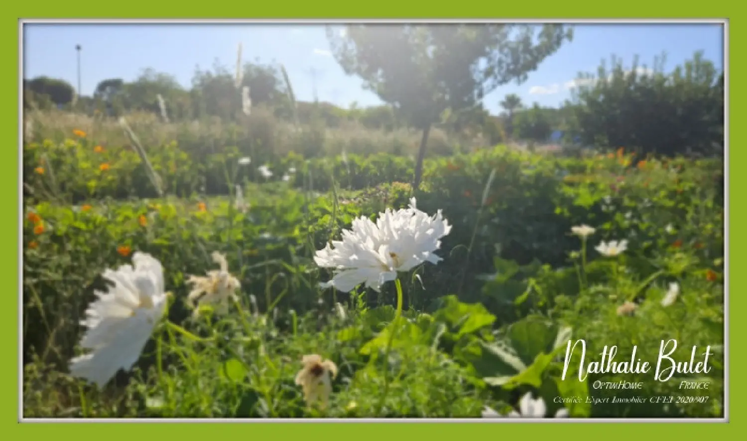  à vendre maison Cébazan Hérault 5