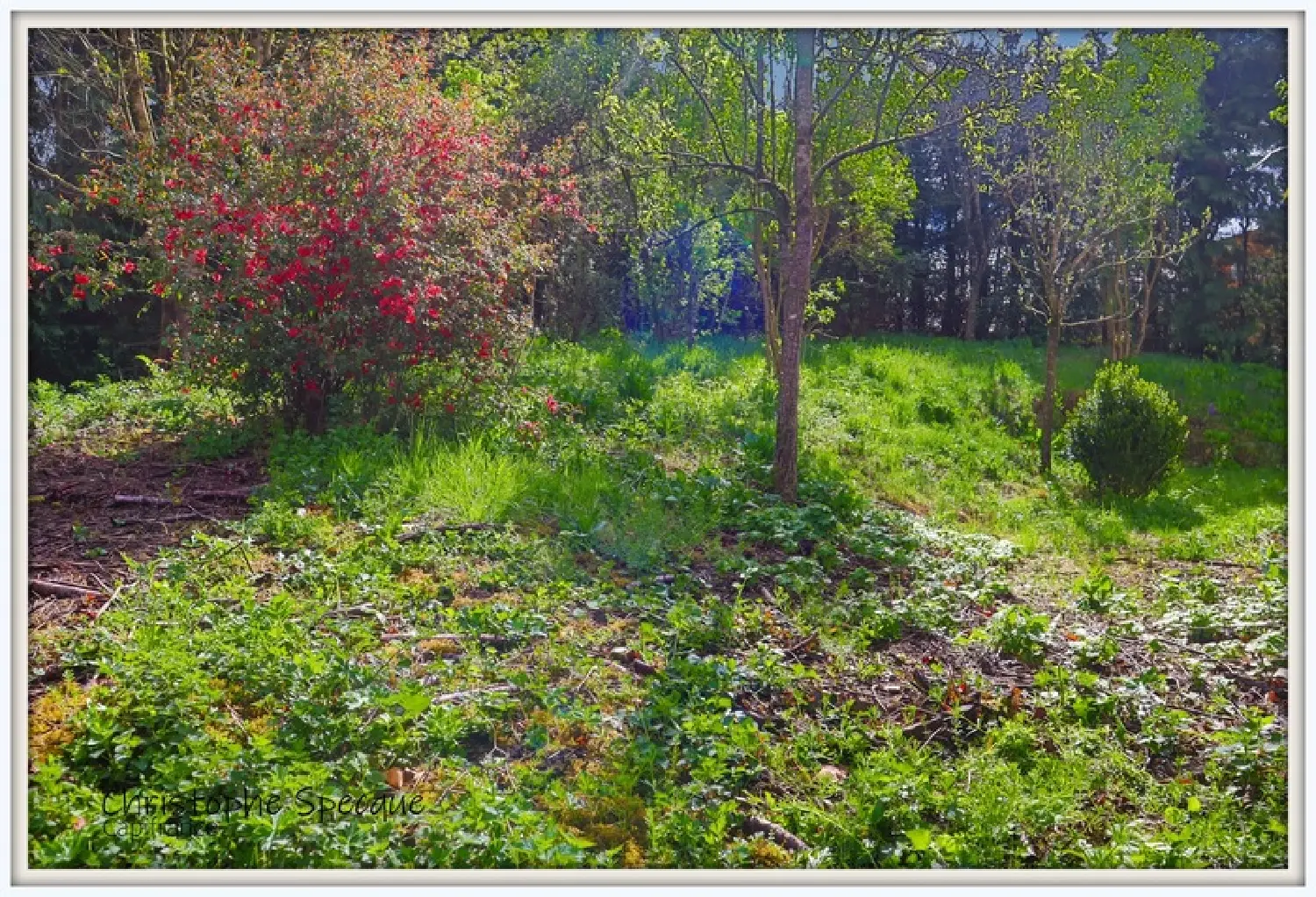  te koop huis Celles-sur-Durolle Puy-de-Dôme 4
