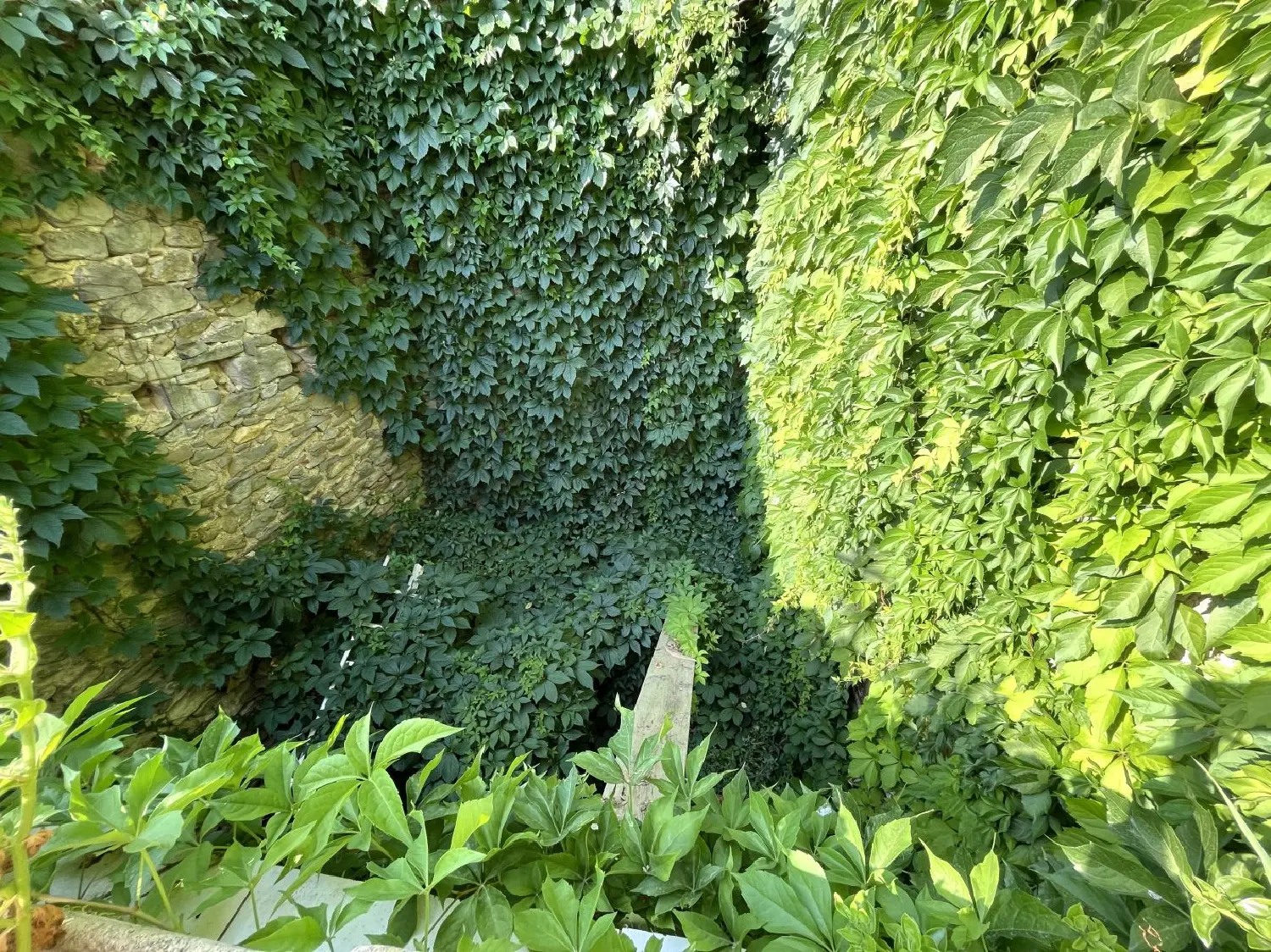  kaufen Haus Cesseras Hérault 3