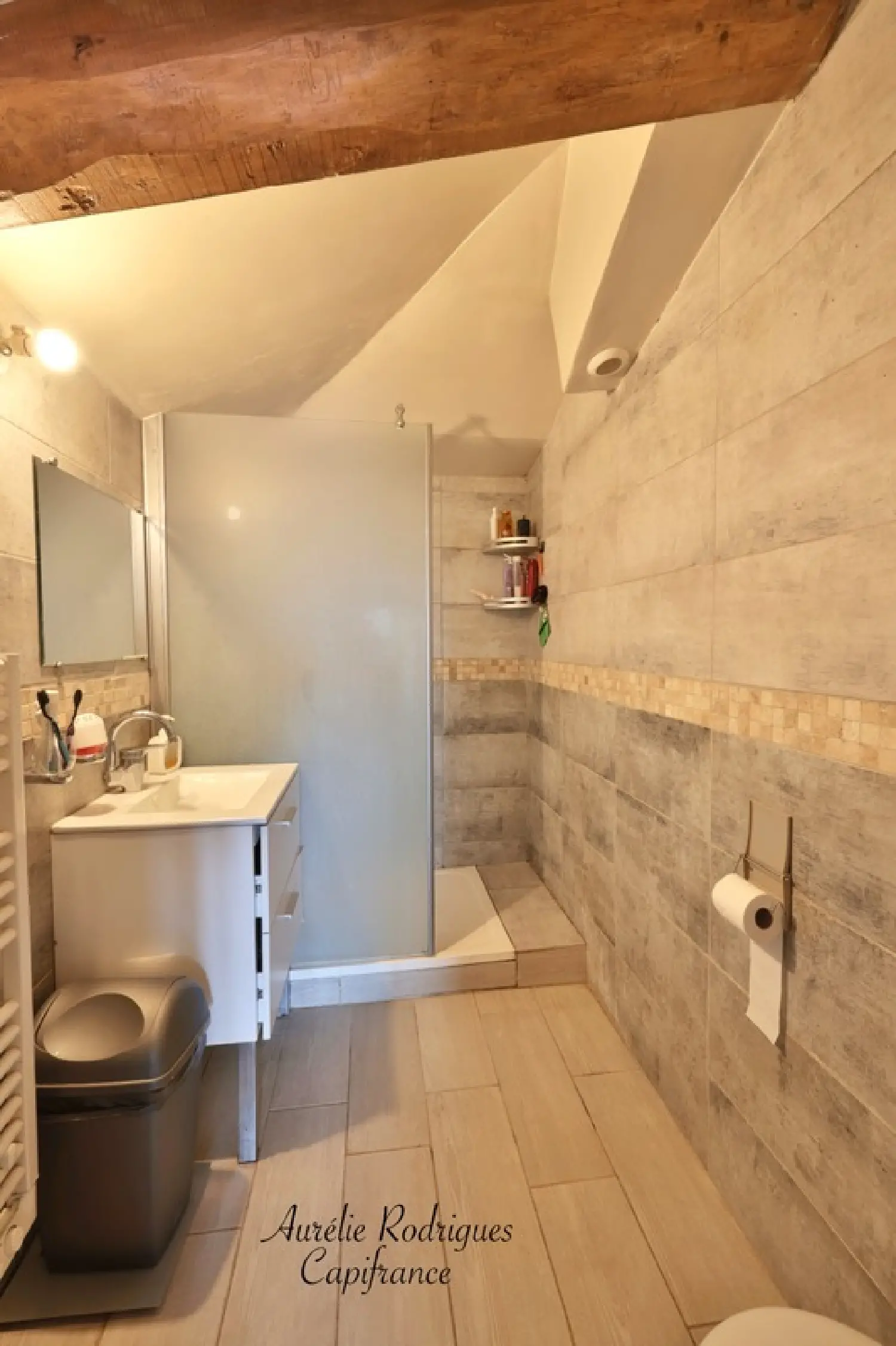  kaufen Haus Chanoz-Châtenay Ain 7