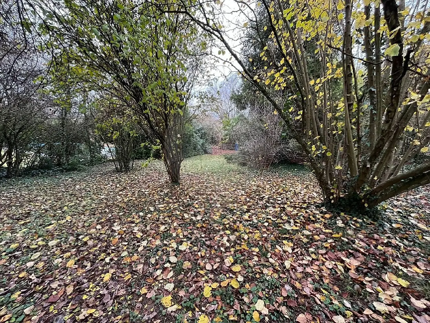  à vendre maison Châtenay-sur-Seine Seine-et-Marne 5