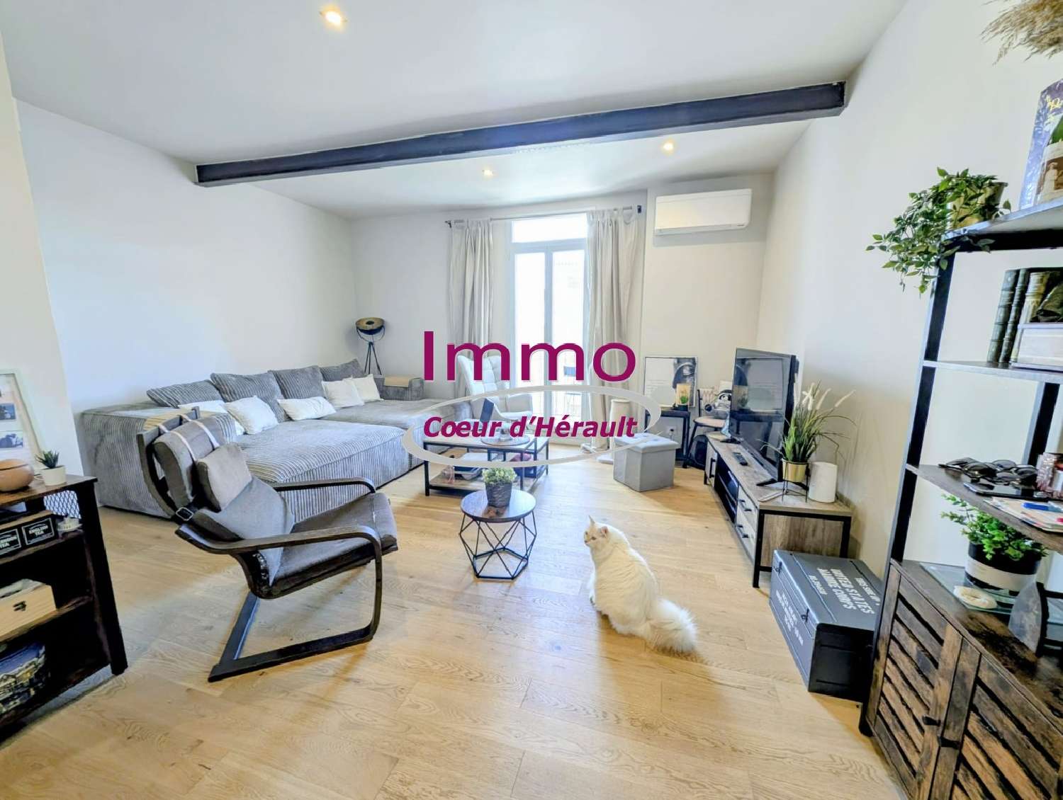  te koop huis Clermont-l'Hérault Hérault 3