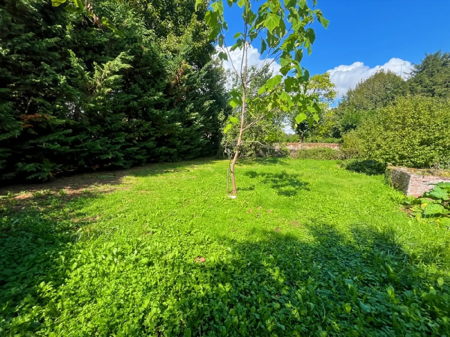 te koop huis Cluny Saône-et-Loire 4