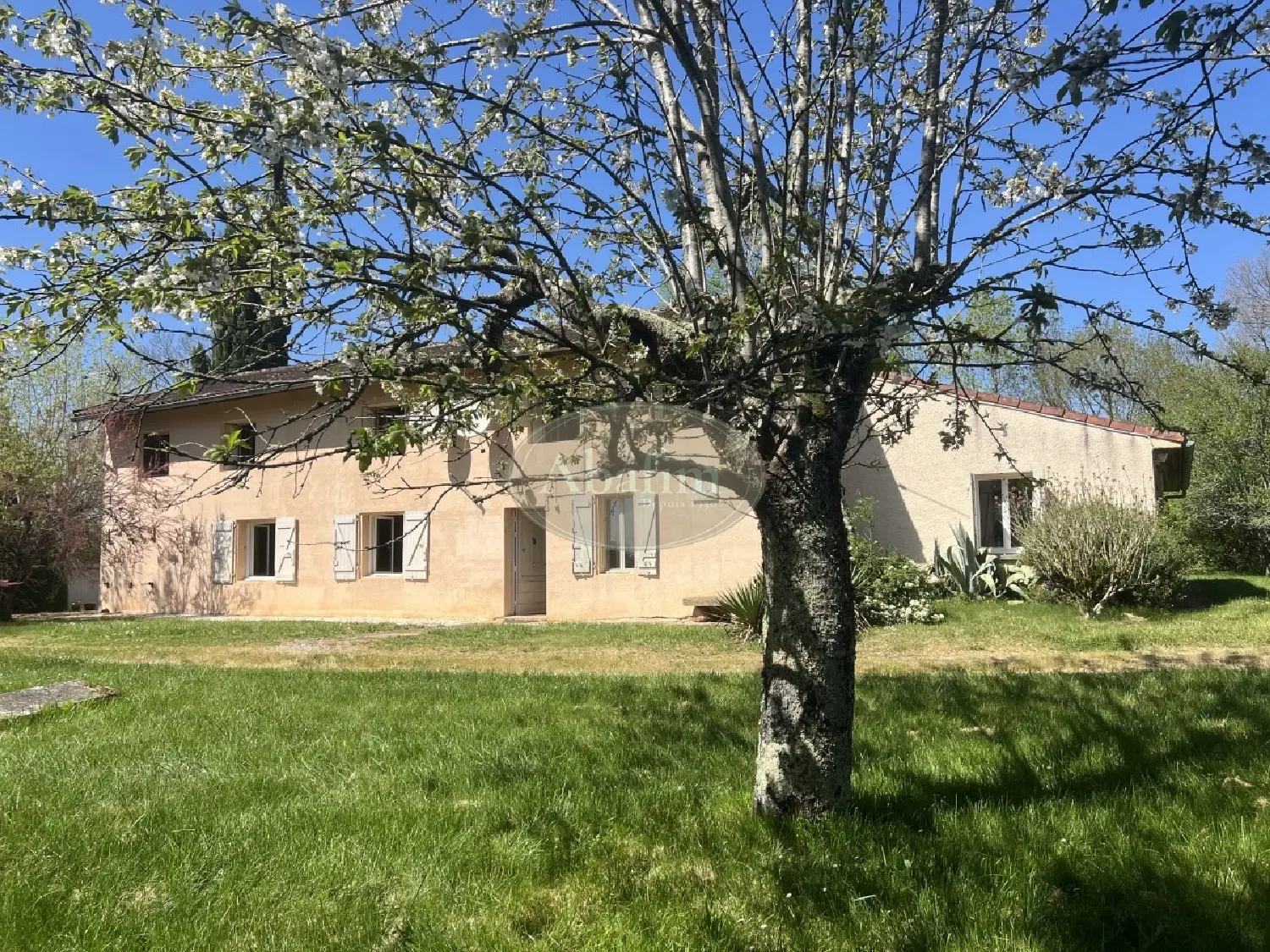  kaufen Haus Cordes-Sur-Ciel Tarn 3