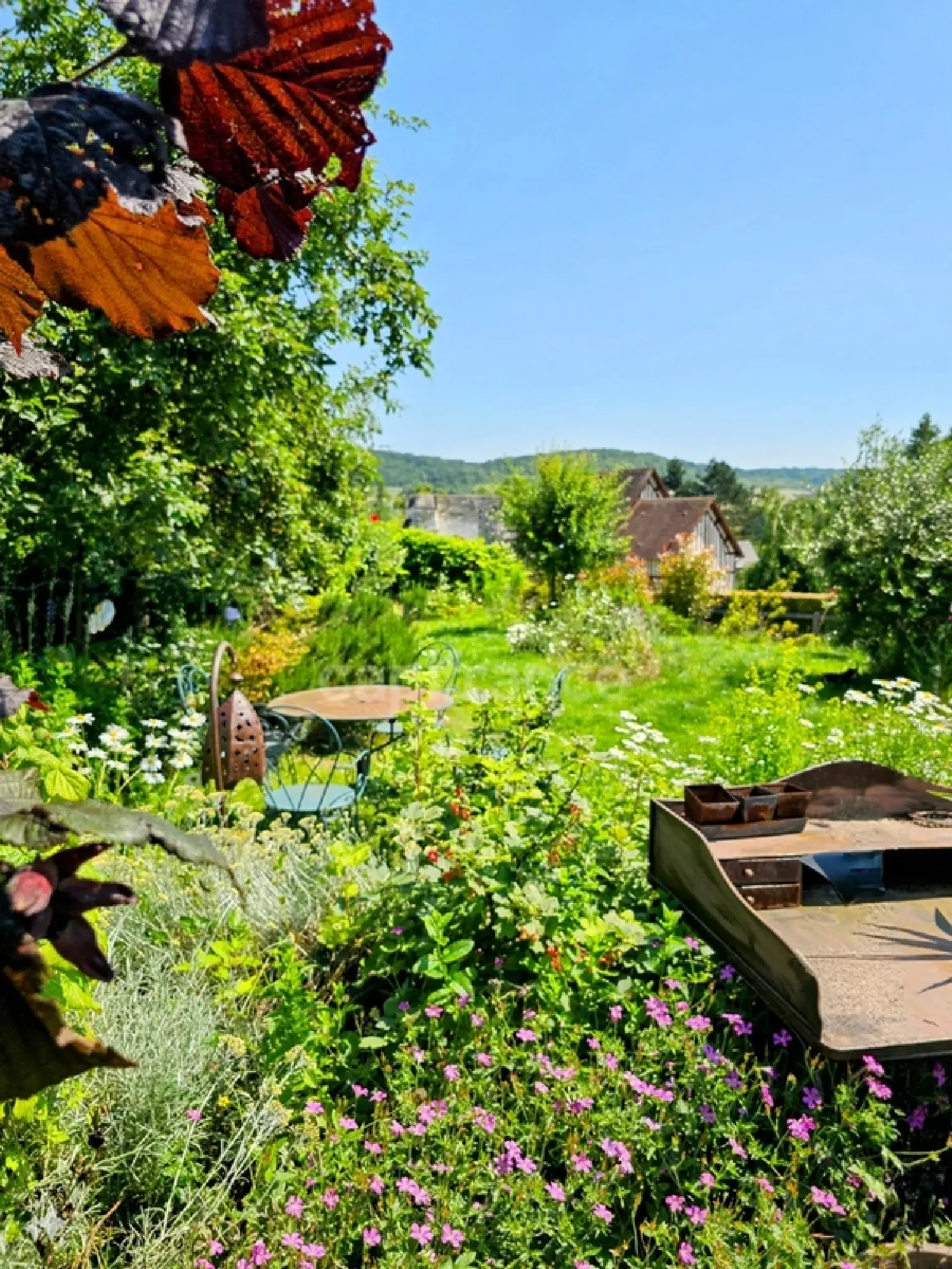  te koop huis Criel-sur-Mer Seine-Maritime 4