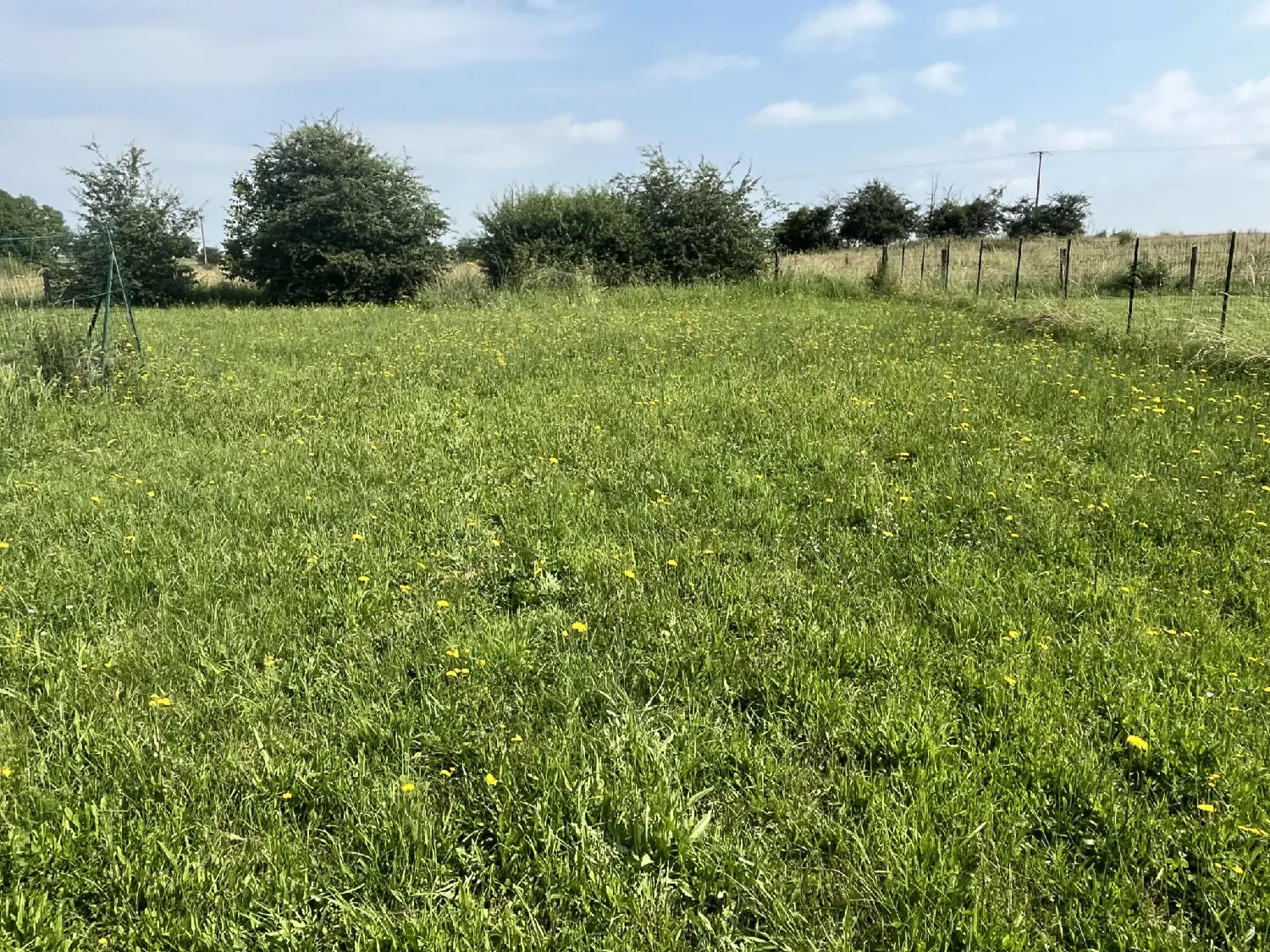  te koop huis Damrémont Haute-Marne 6
