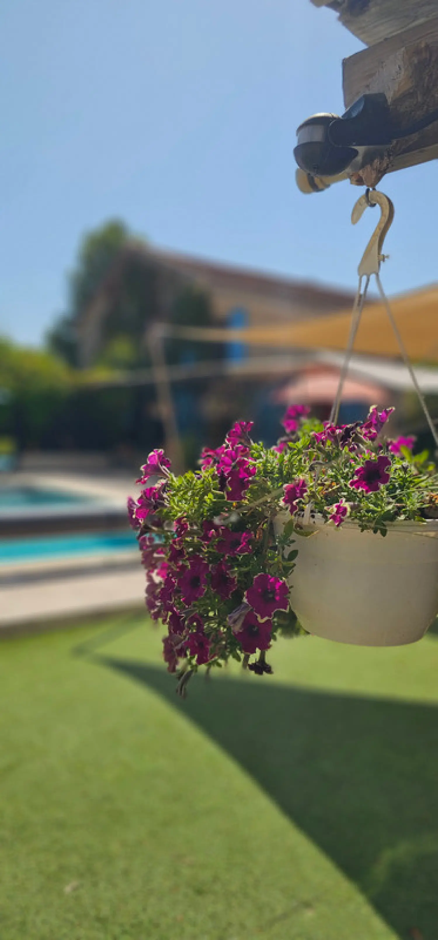  te koop huis Dauphin Alpes-de-Haute-Provence 3