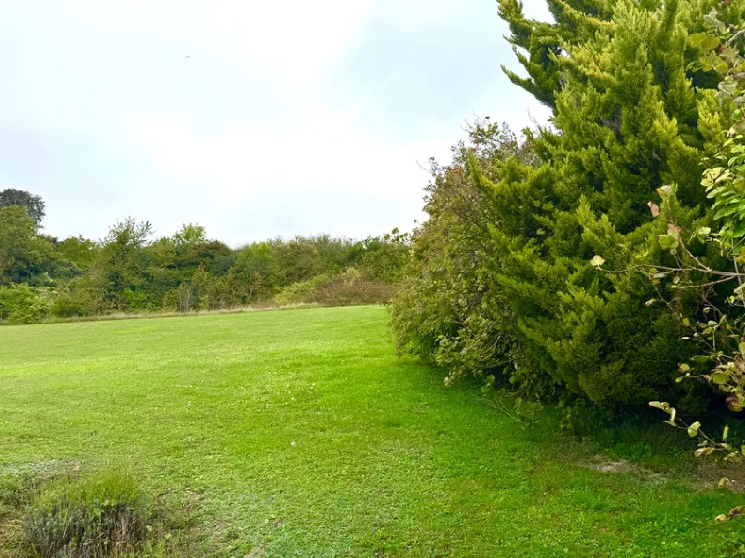  te koop huis Dieppe Seine-Maritime 2