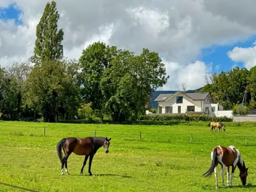 Divonne-les-Bains Ain house foto 7137198
