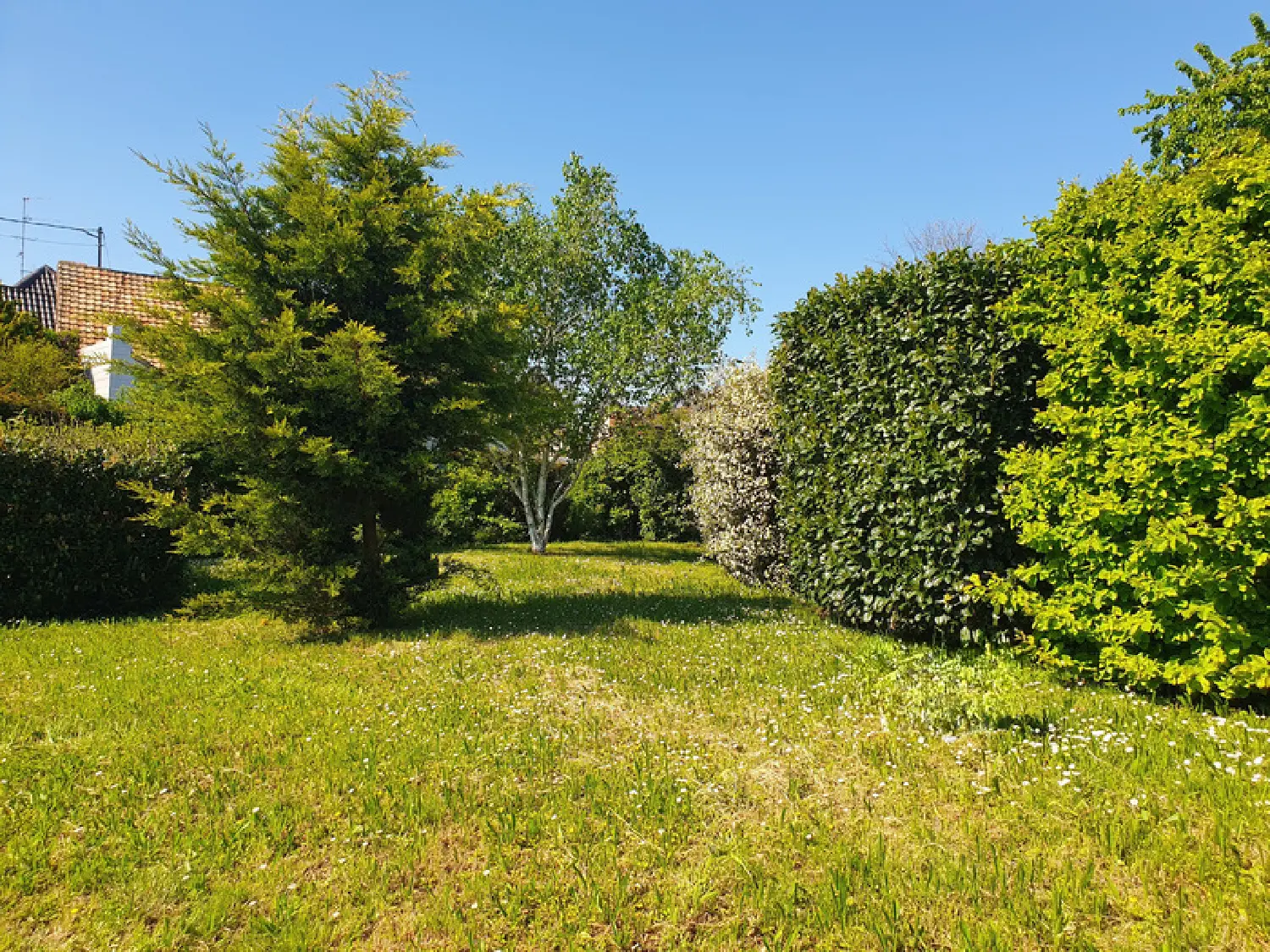  kaufen Haus Eckbolsheim Bas-Rhin 7