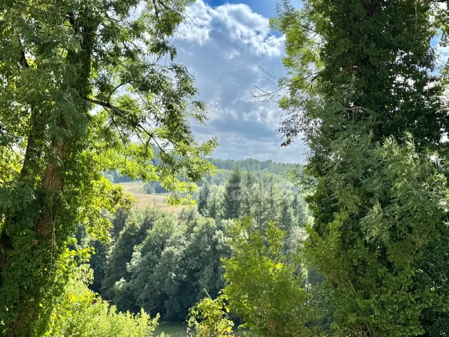  te koop huis Ferrières-sur-Sichon Allier 2