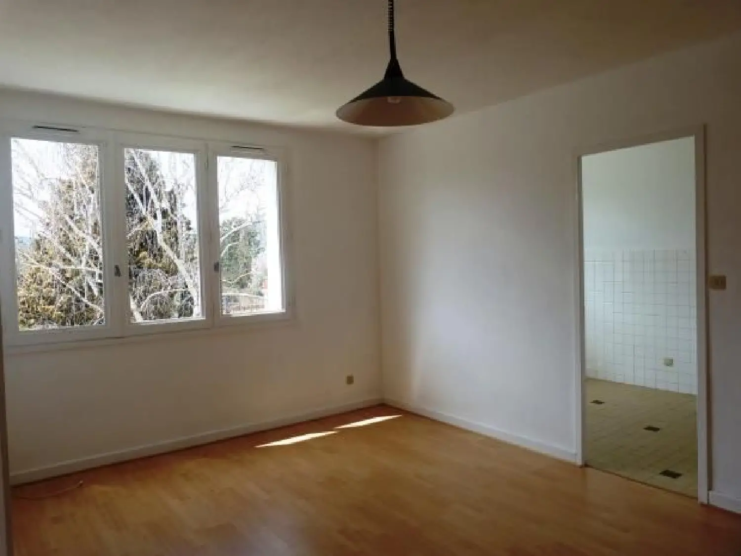  te koop huis Francheville Rhône 1