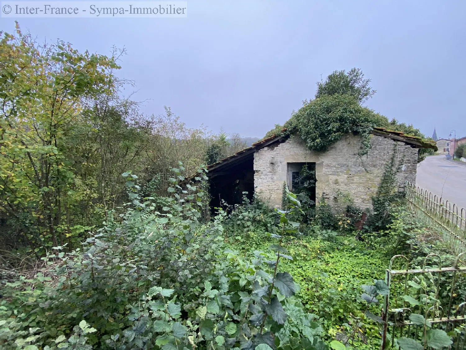  for sale house Fronville Haute-Marne 3
