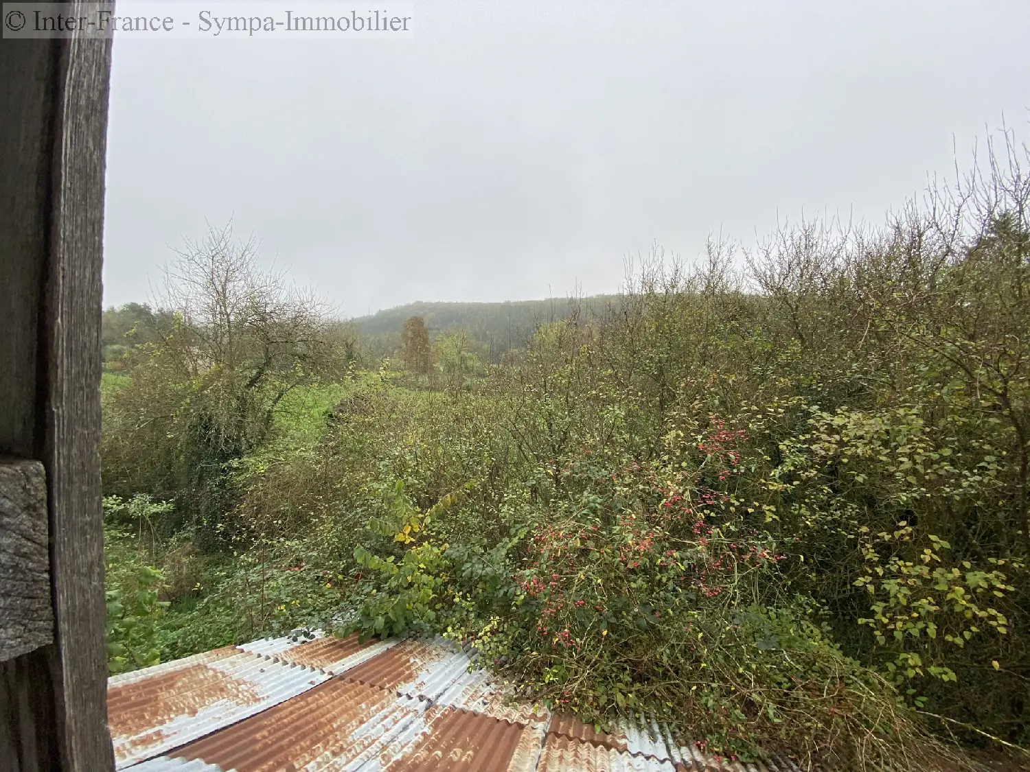  for sale house Fronville Haute-Marne 9