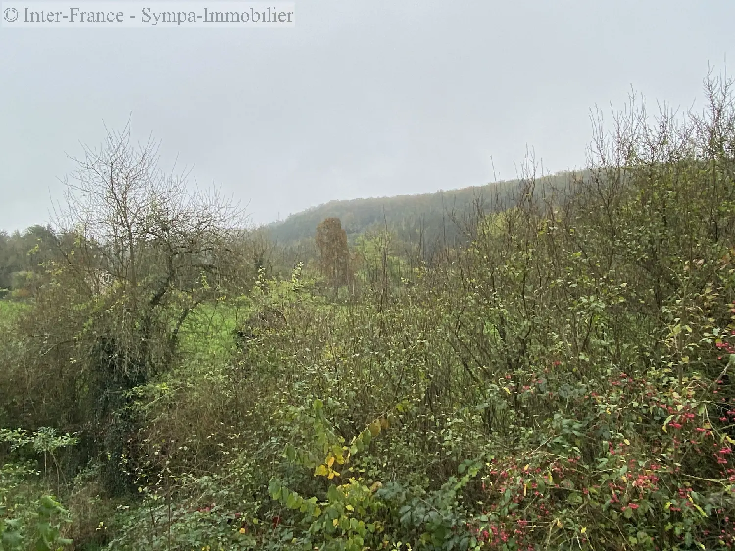  for sale house Fronville Haute-Marne 10